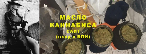 индика Волосово