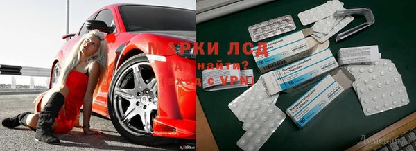 гидропоника Магадан