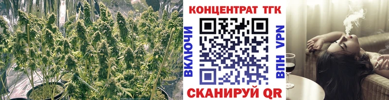 ТГК вейп  как найти   Дивногорск 