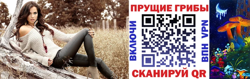 Галлюциногенные грибы мицелий  Дивногорск 