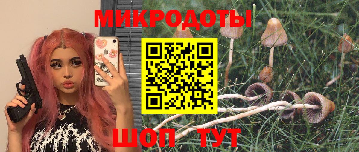 Дивногорск  Галлюциногенные грибы Magic Shrooms  Вход с VPN 
