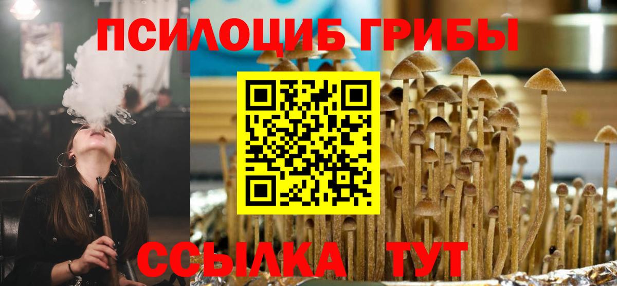Галлюциногенные грибы Magic Shrooms Дивногорск