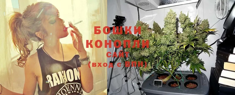 МАРИХУАНА White Widow  Дивногорск 