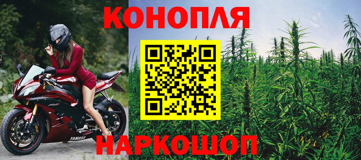 Бошки марихуана Bruce Banner Дивногорск