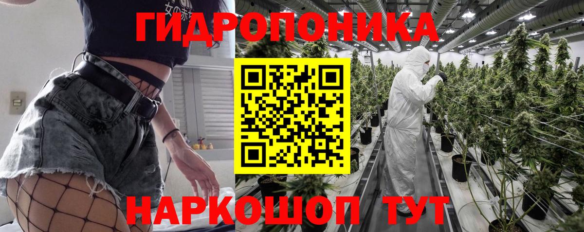 Бошки Шишки Amnesia Дивногорск